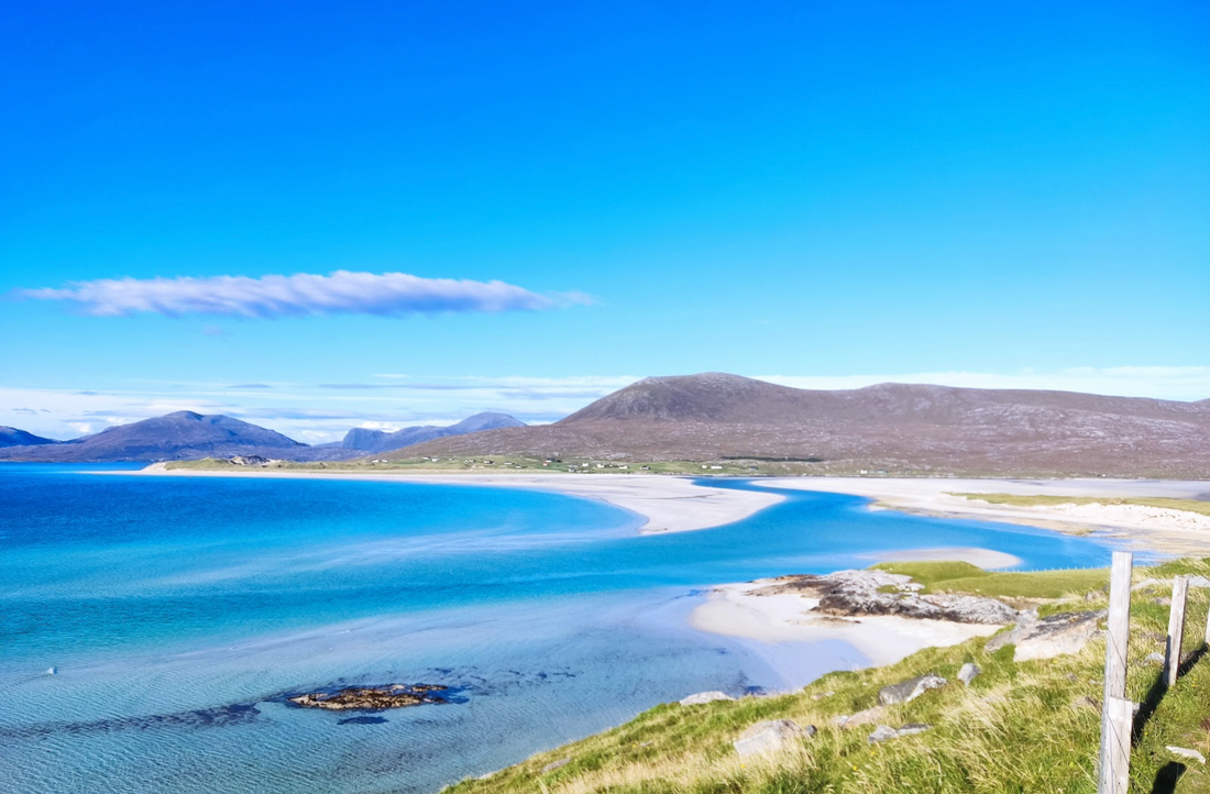 Discover Your Perfect Campervan Today!